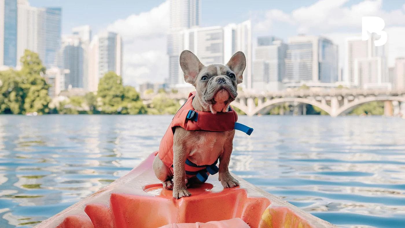 ByteTag — solution