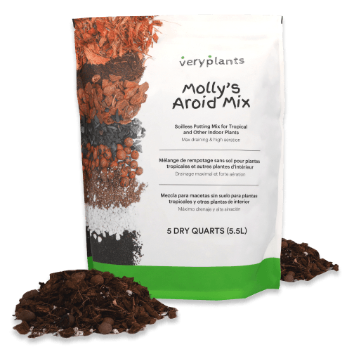 VeryPlants — solution